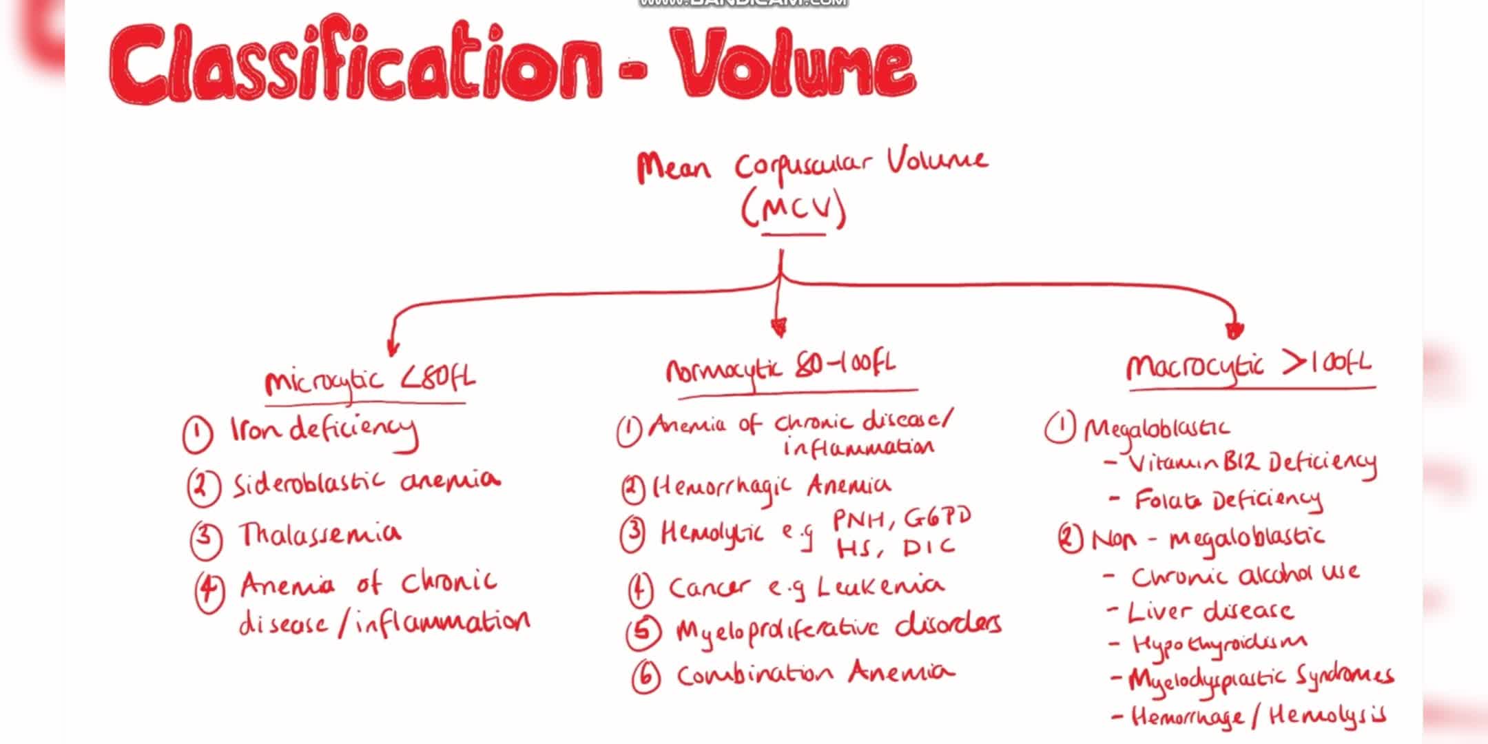 小细胞贫血详解