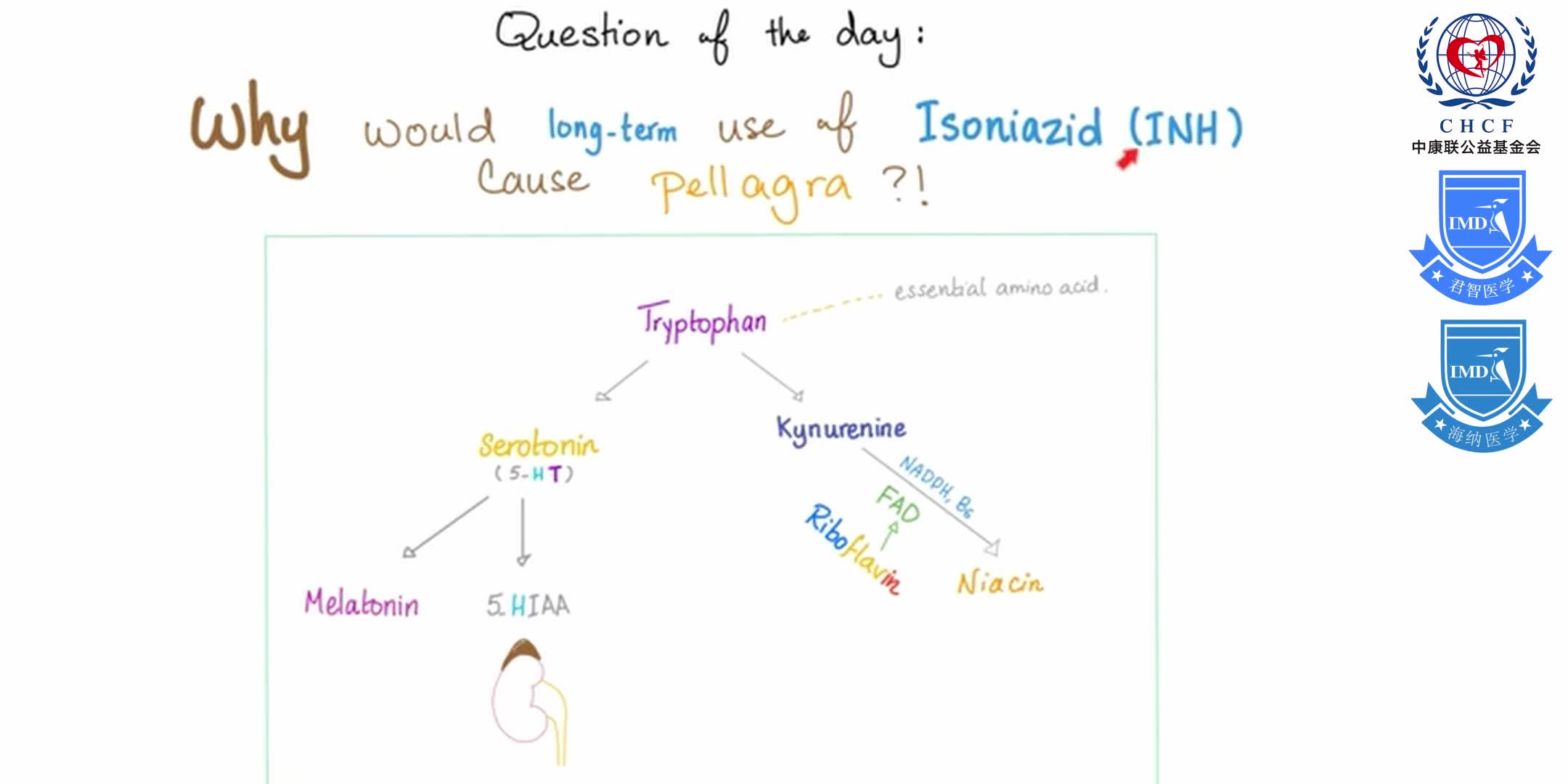 Vitamin B3 (Niacin) Enzymology [NAD and NADP] 1-1
