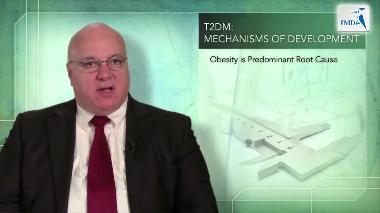 糖尿病的病理学和肾脏在血糖稳态中的作用（1）