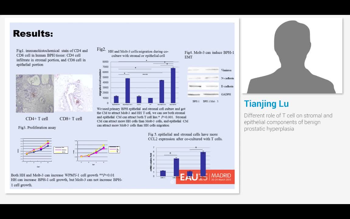 Different role of T cell on stromal and epithelial compon..-