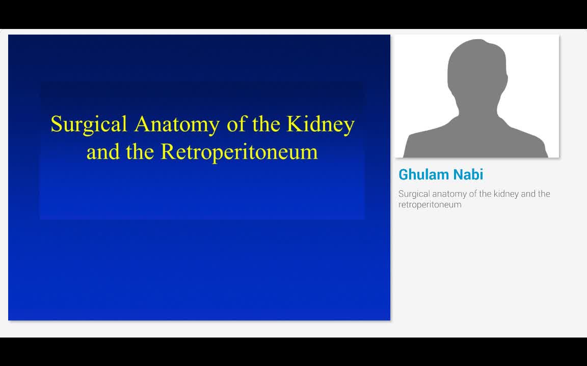 Surgical anatomy of the kidney and the retroperitoneum