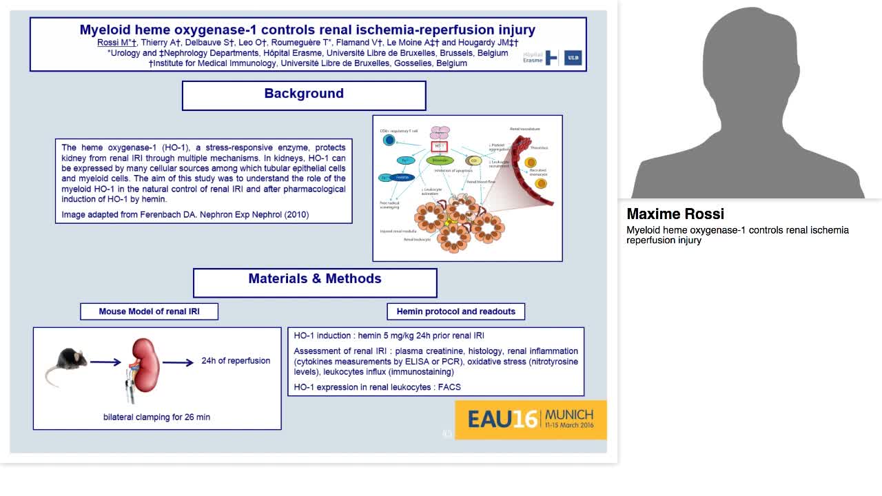 Myeloid heme oxygenase-1 controls renal ischemia reperfus-