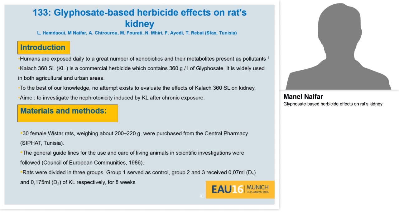 Glyphosate-based herbicide effects on rat's kidney