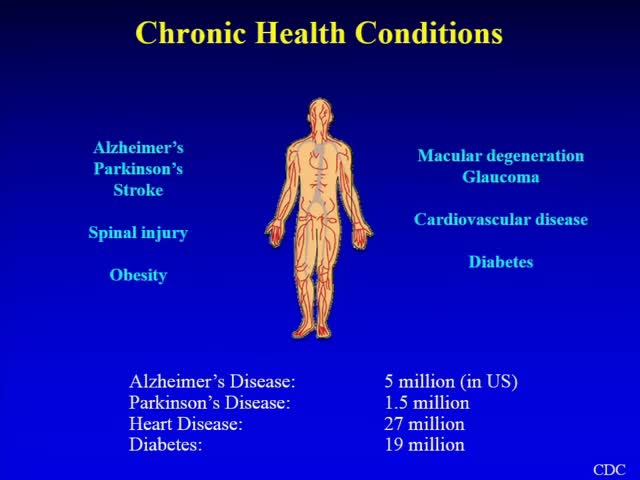 Engineering and Evolving New Viruses for Therapeutic Gene Delivery