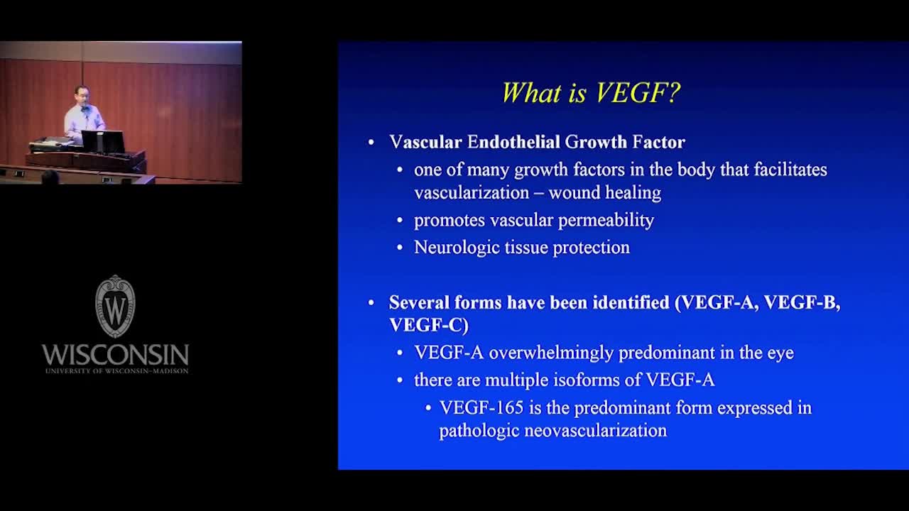 增生型糖尿病视网膜病变（2）