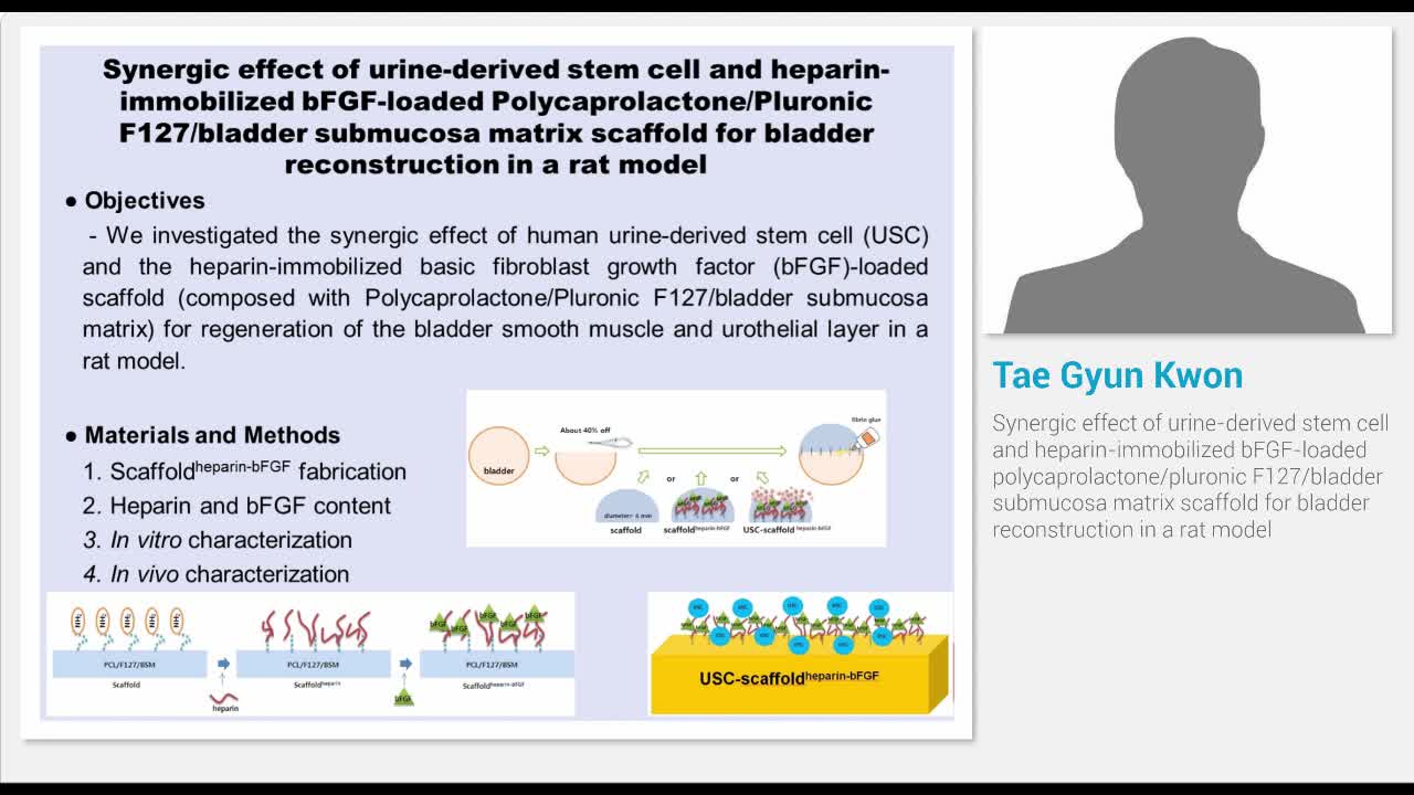 Synergic effect of urine-derived stem cell and heparin-im..-