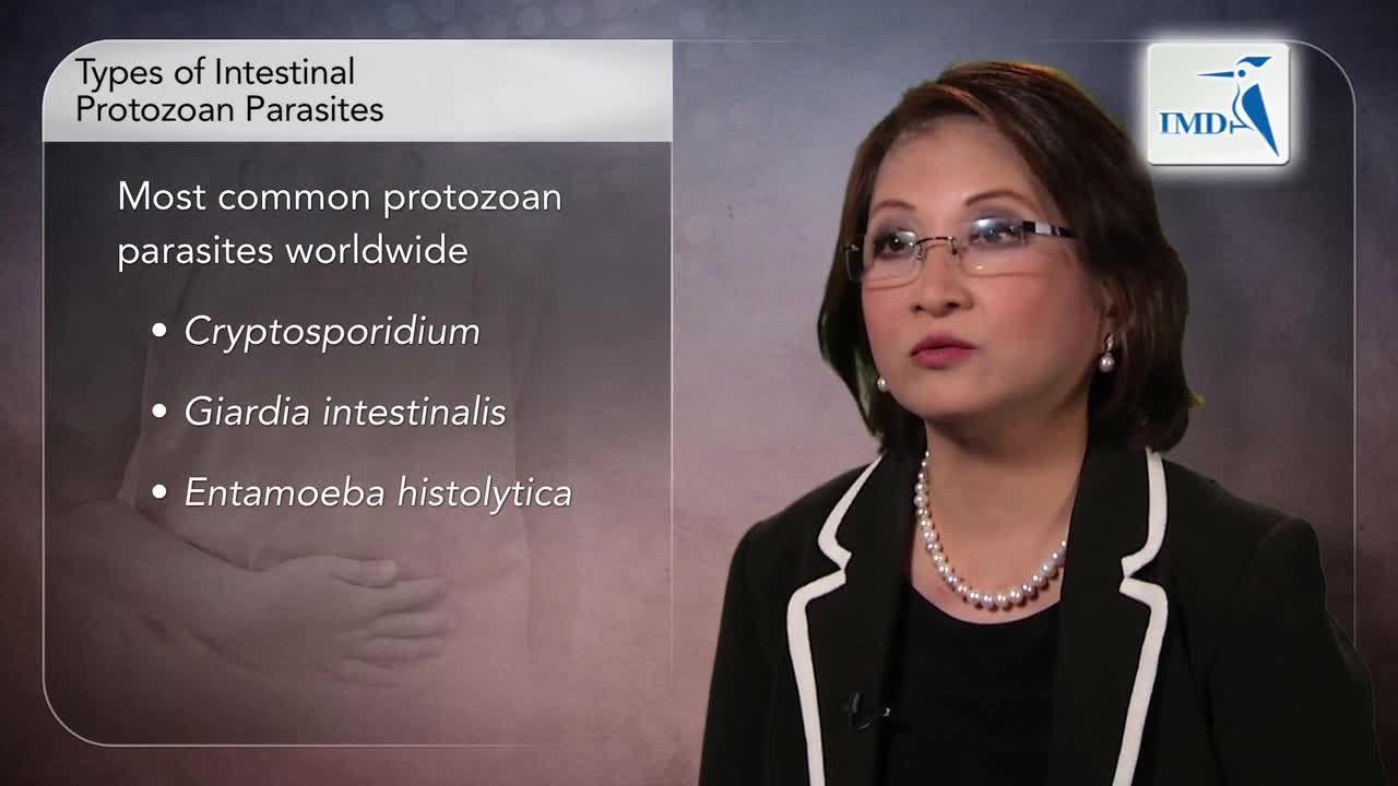 原虫感染性腹泻的鉴别诊断（1）