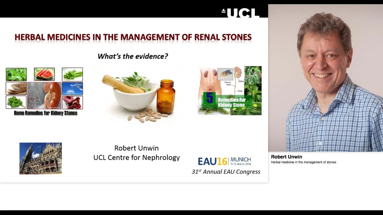 Herbal medicine in the management of stones