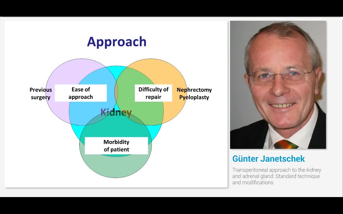 Transperitoneal approach to the kidney and adrenal gland,..-