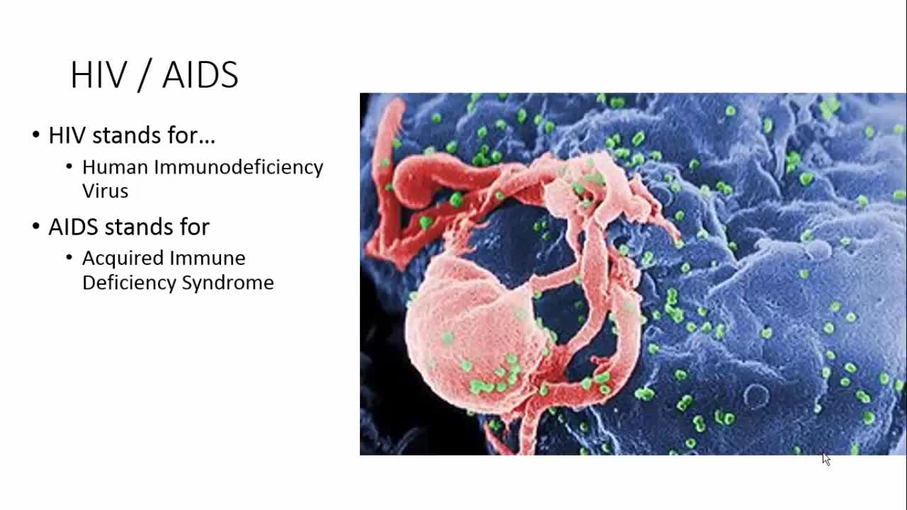 生物学中的传染病（1）