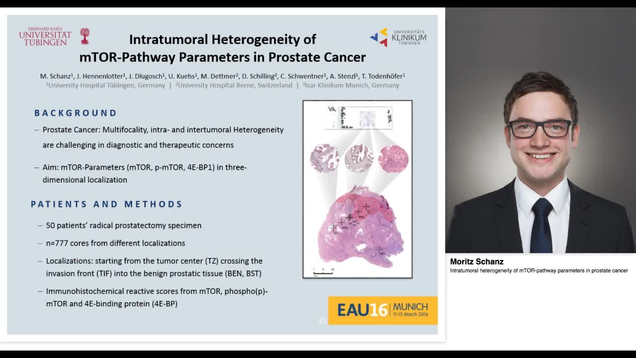 Intratumoral heterogeneity of mTOR-pathway parameters in -