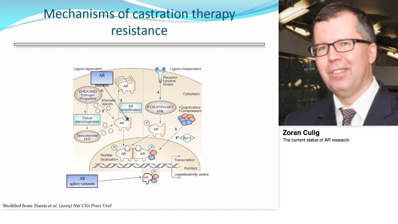 The current status of AR research