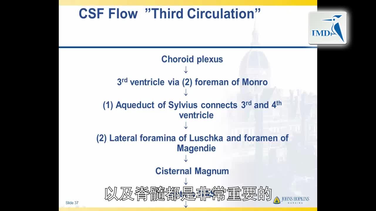解剖学与生理学--神经解剖学（6）
