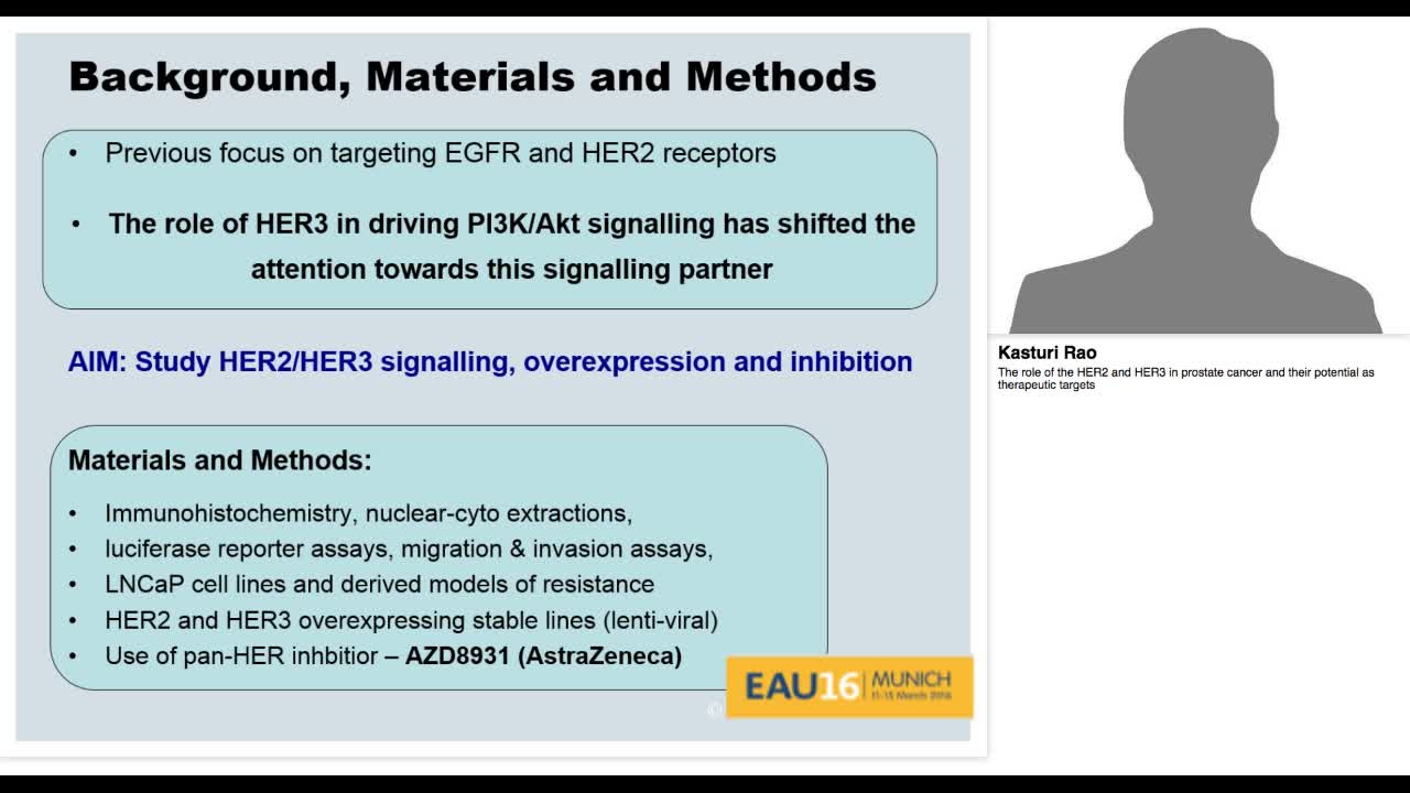 The role of the HER2 and HER3 in prostate cancer and thei-
