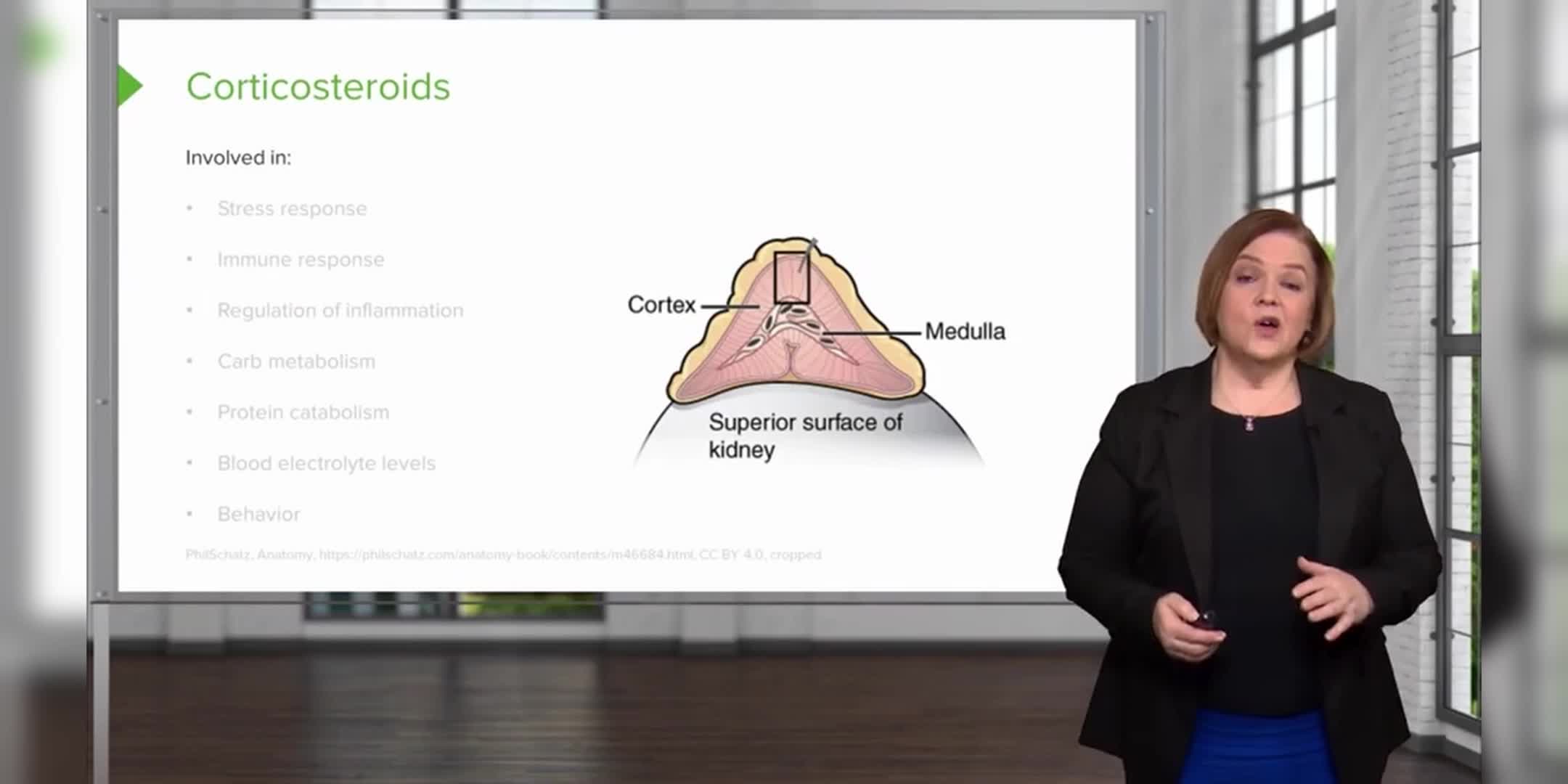 皮质类固醇的作用与机制