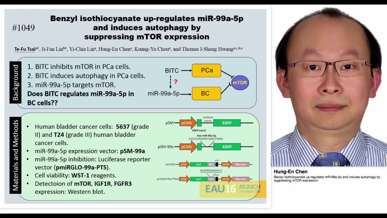 Benzyl isothiocyanate up-regulates miR-99a-5p and induces-