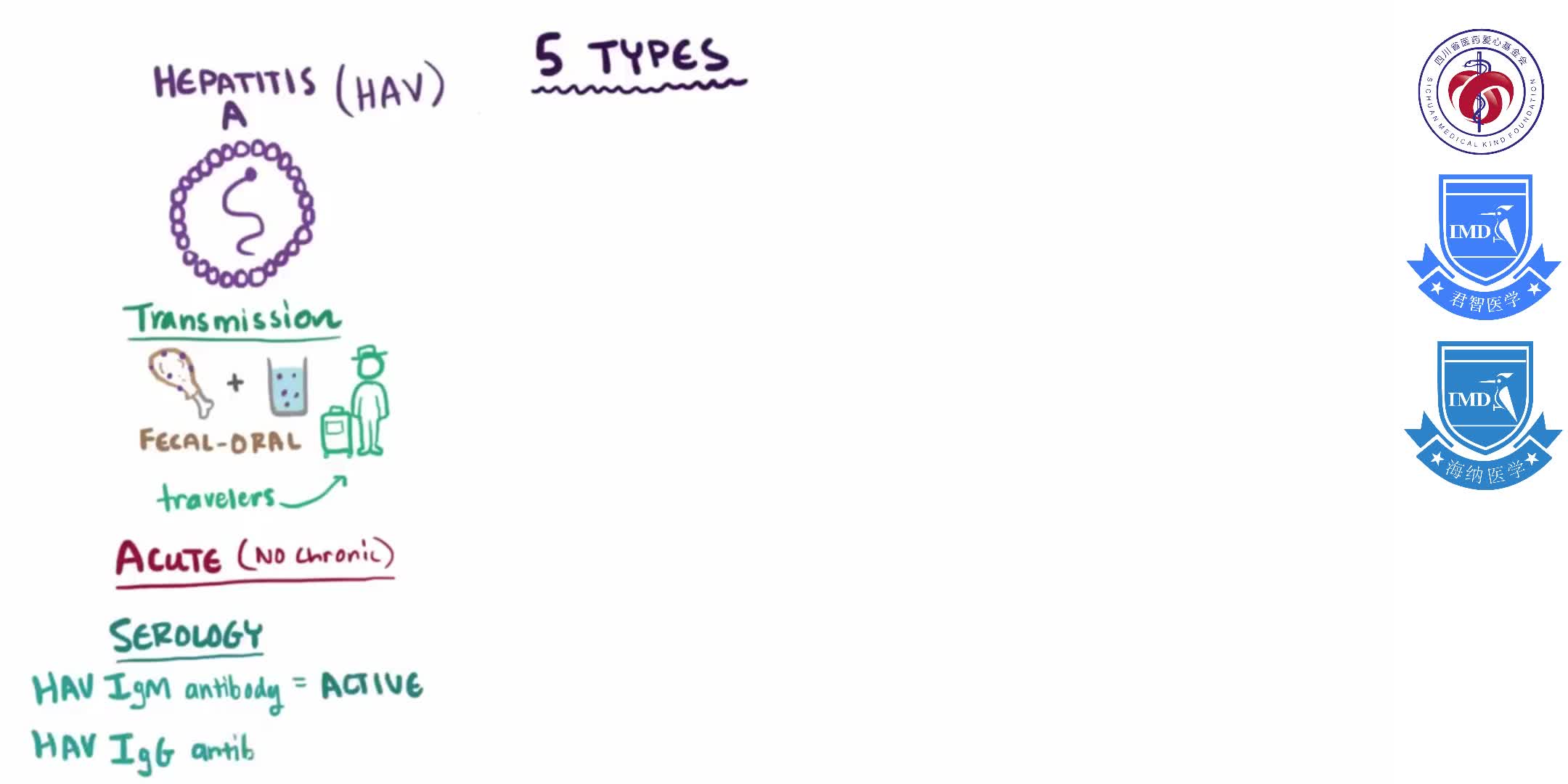 Viral hepatitis (A, B, C, D, E) - causes, symptoms, diagnosis, treatment & pathology_02