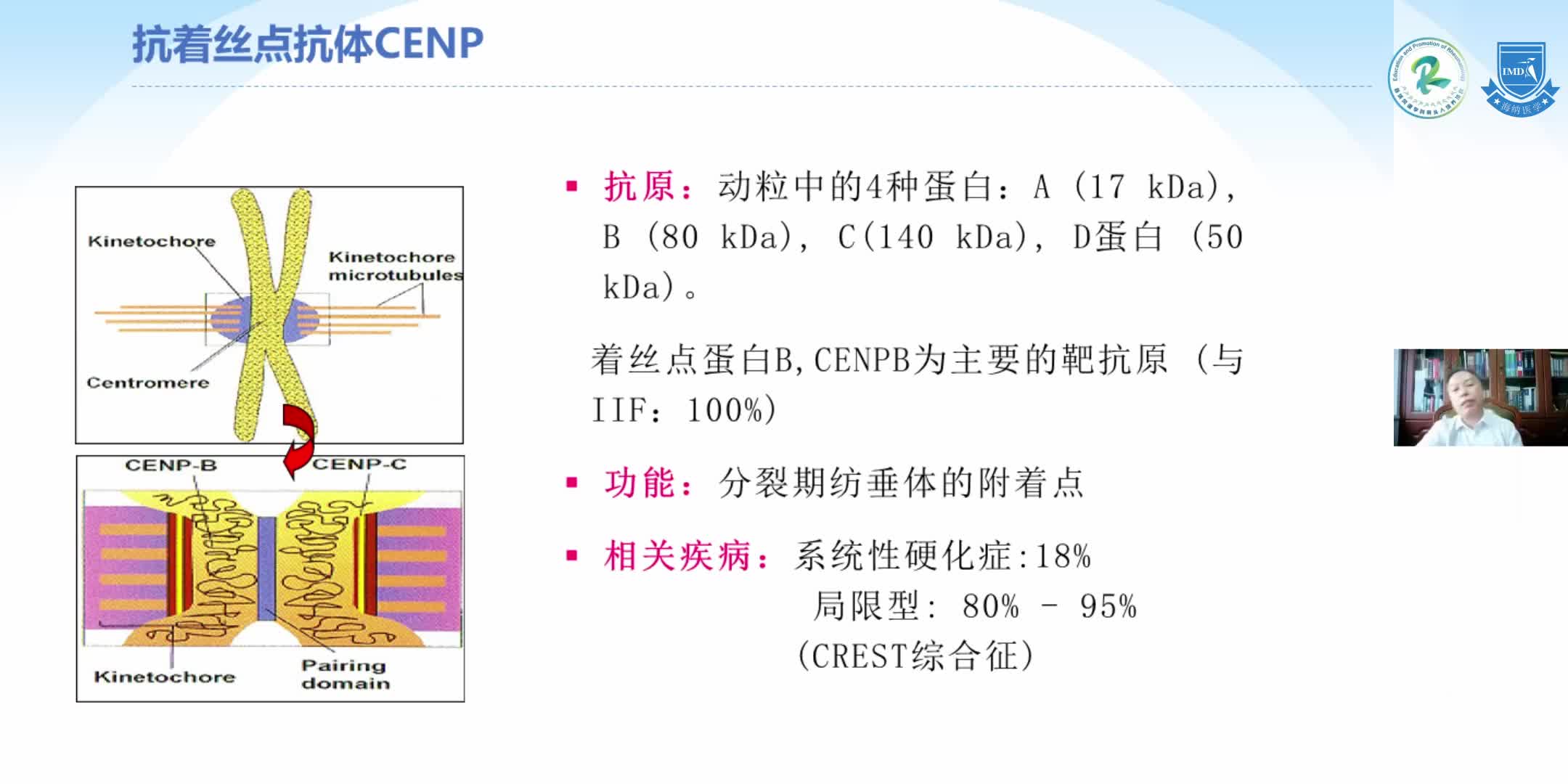四川县域风湿-刘剑平-自身抗体  Autoantibody（2）
