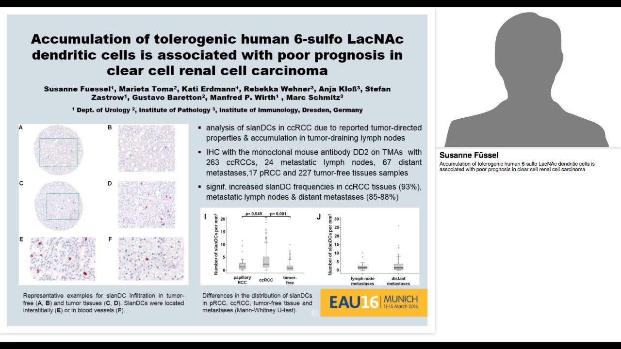 Accumulation of tolerogenic human 6-sulfo LacNAc dendriti-