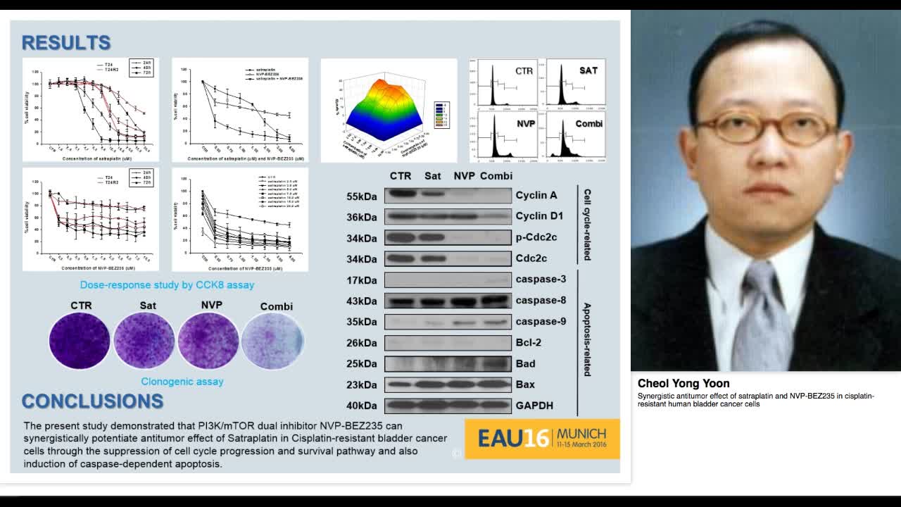 Synergistic antitumor effect of satraplatin and NVP-BEZ23-