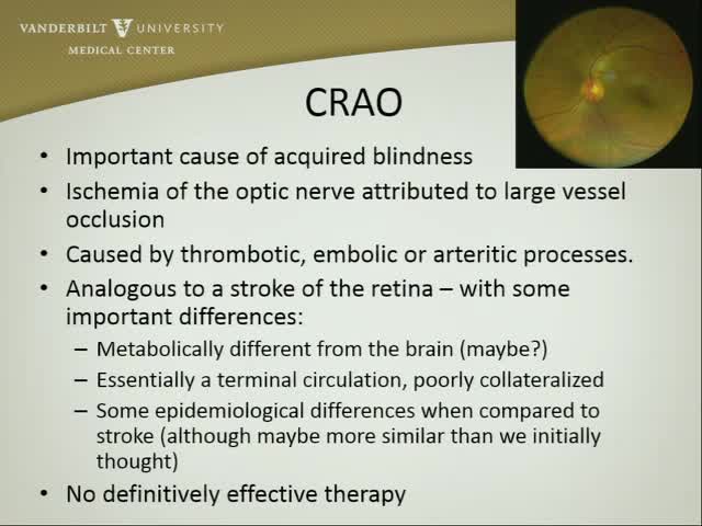 Central Retinal Artery Occlusion (CRAO) Nationwide Variability in Approach to Management