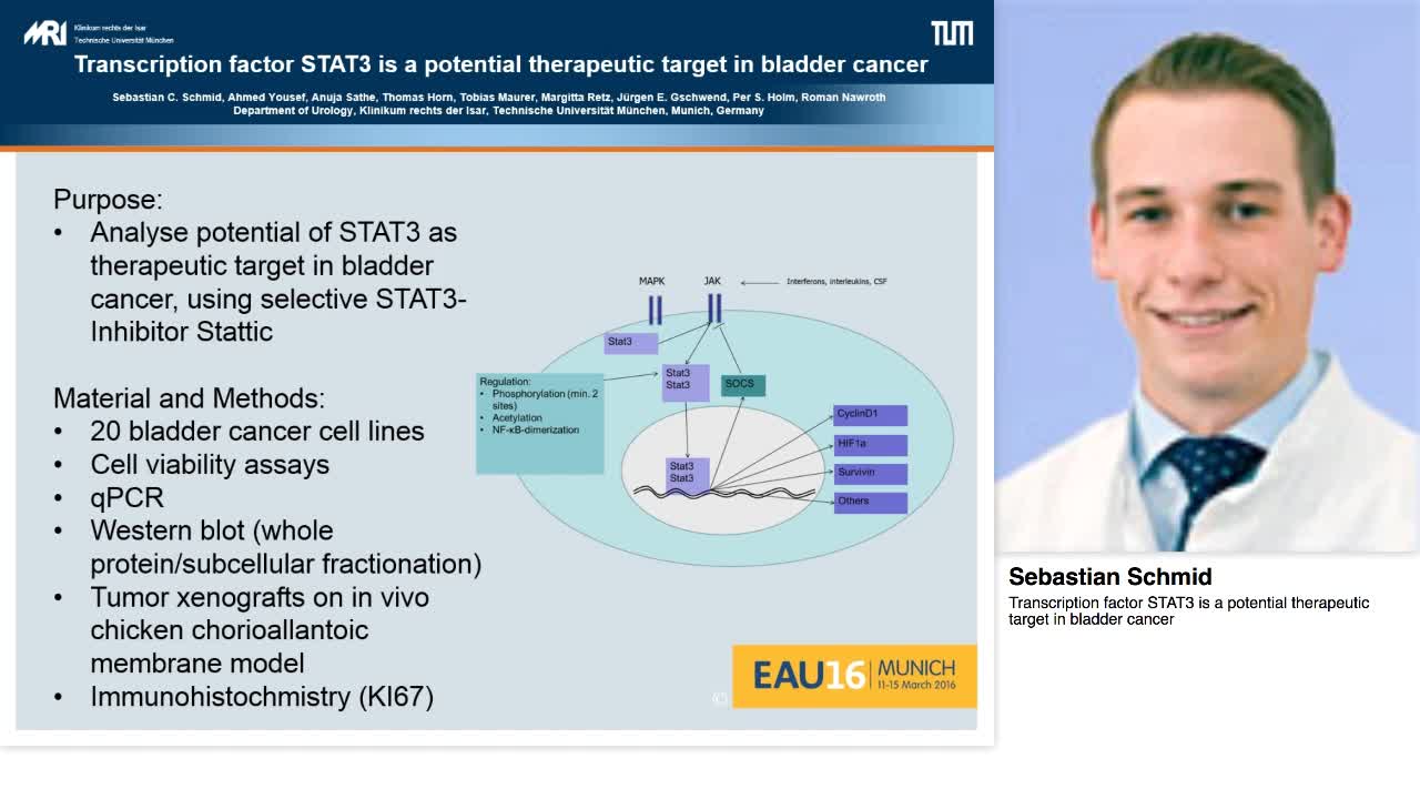 Transcription factor STAT3 is a potential therapeutic tar-