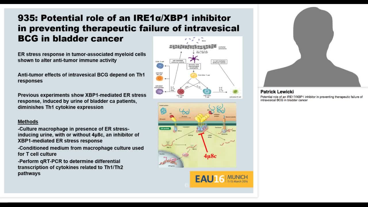 Potential role of an IRE1.-XBP1 inhibitor in preventing t-