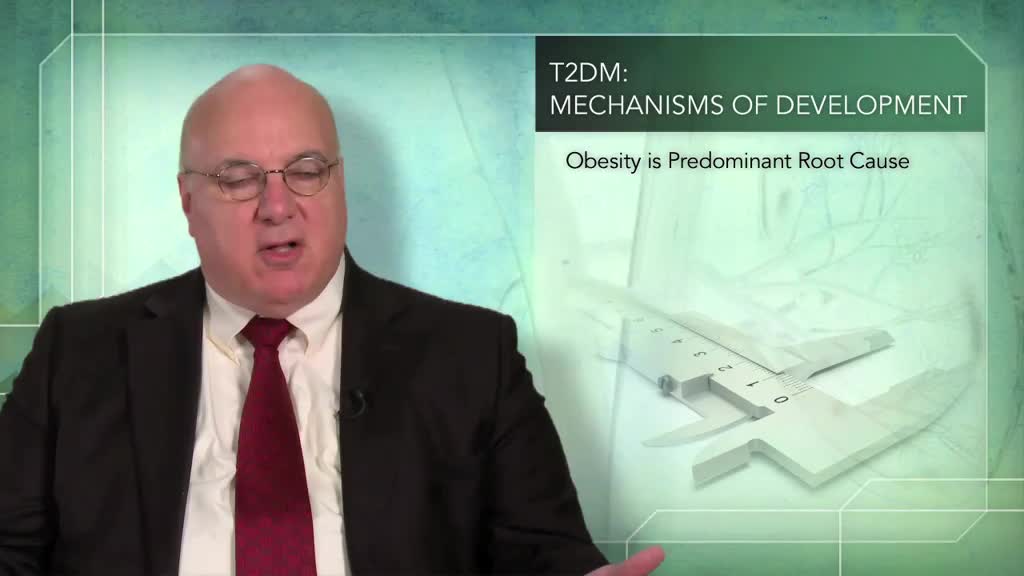 The Pathophysiology of Diabetes and the Role of the Kidney in Glucose Homeostasis