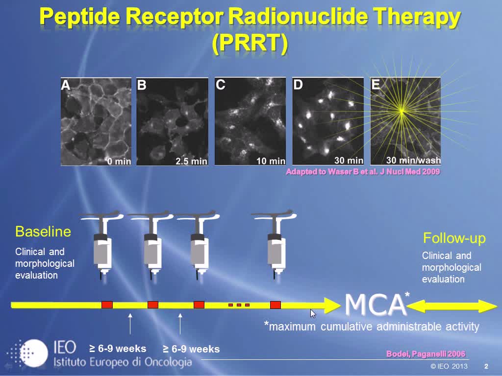 PRRT From the EANM-IAEA-SNM Guidance Document towards Standardisation of Individualised Treatments.