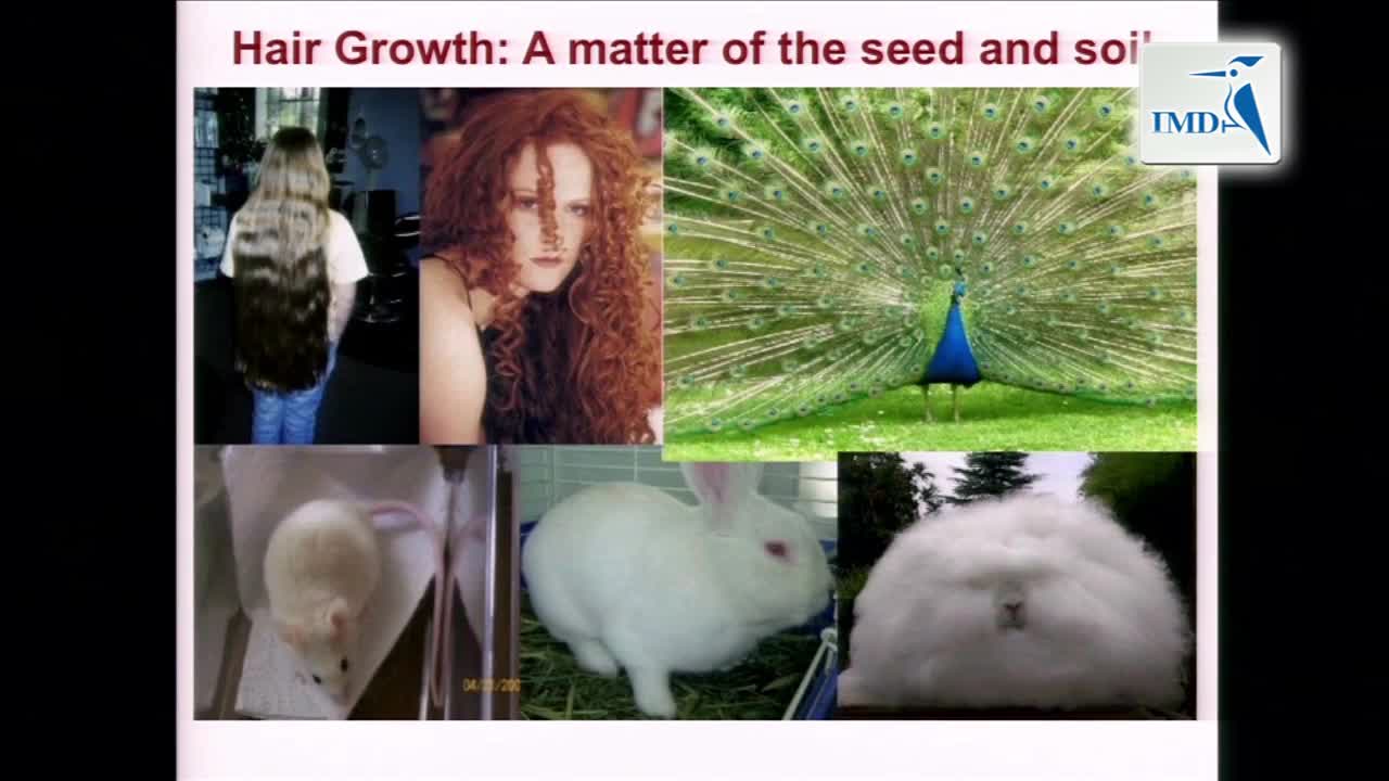 脱发的新兴治疗方法（2）