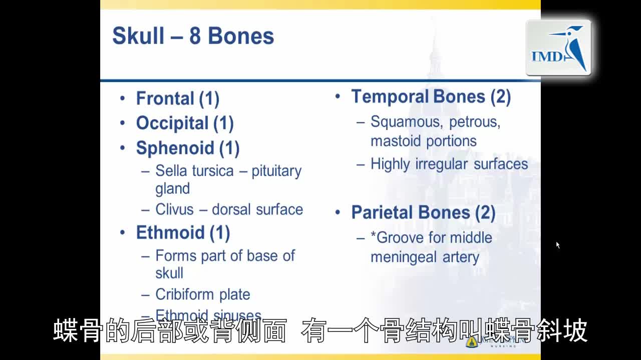 解剖学与生理学之神经解剖学（3）