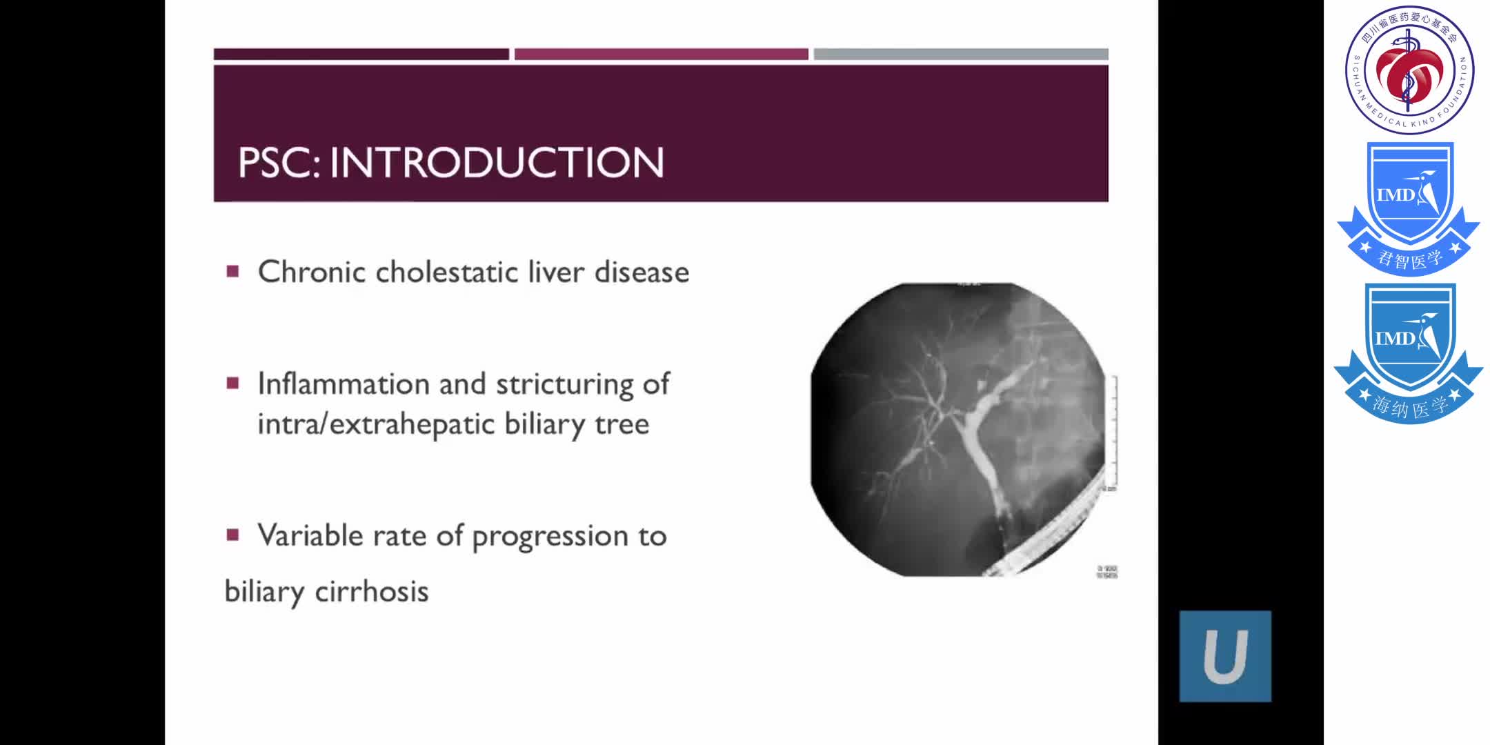 Autoimmune Liver Disease &mdash; Gina Choi, MD  UCLA Digestive Diseases 1-4