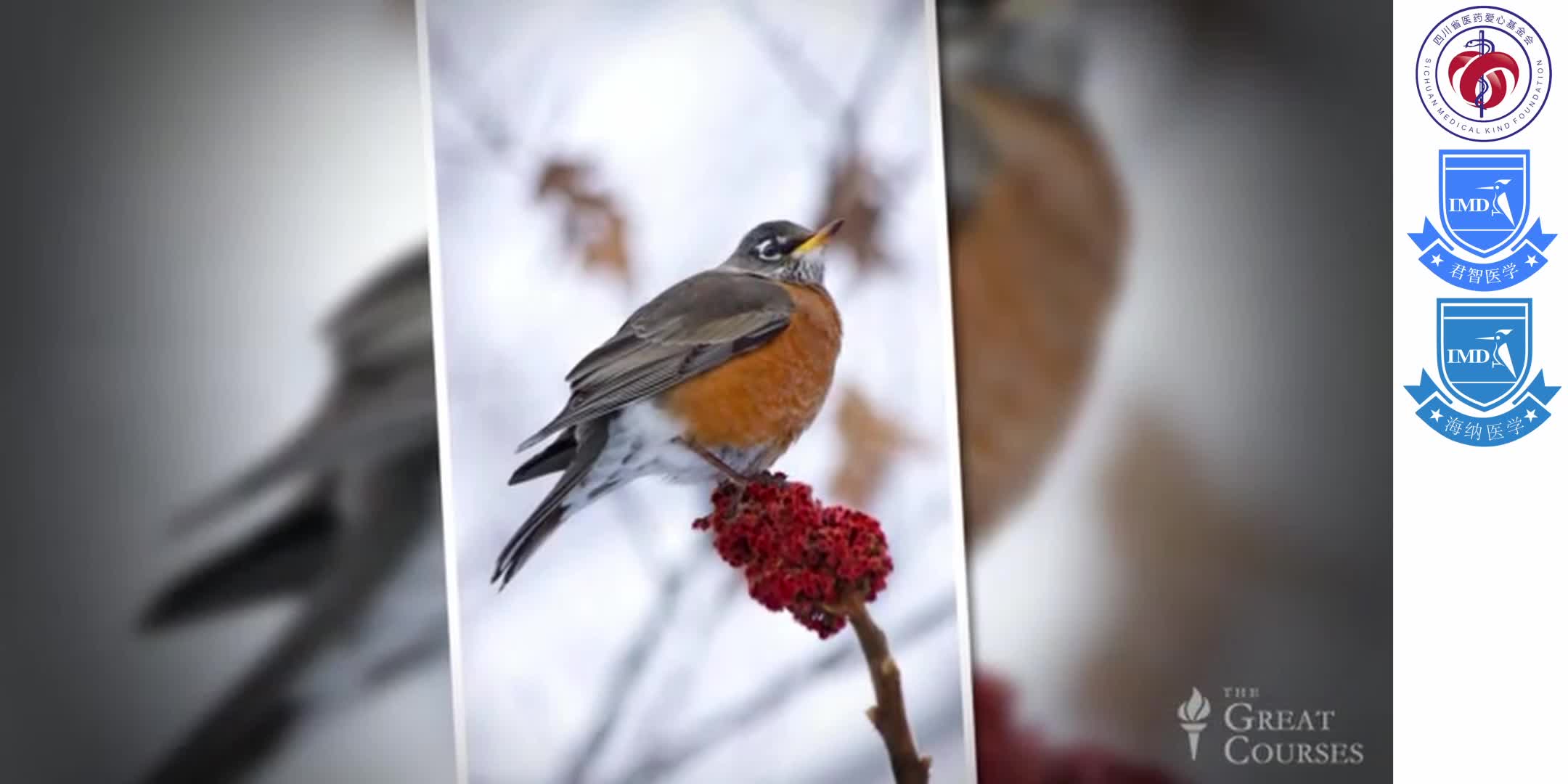 InfectiousDiseases 5