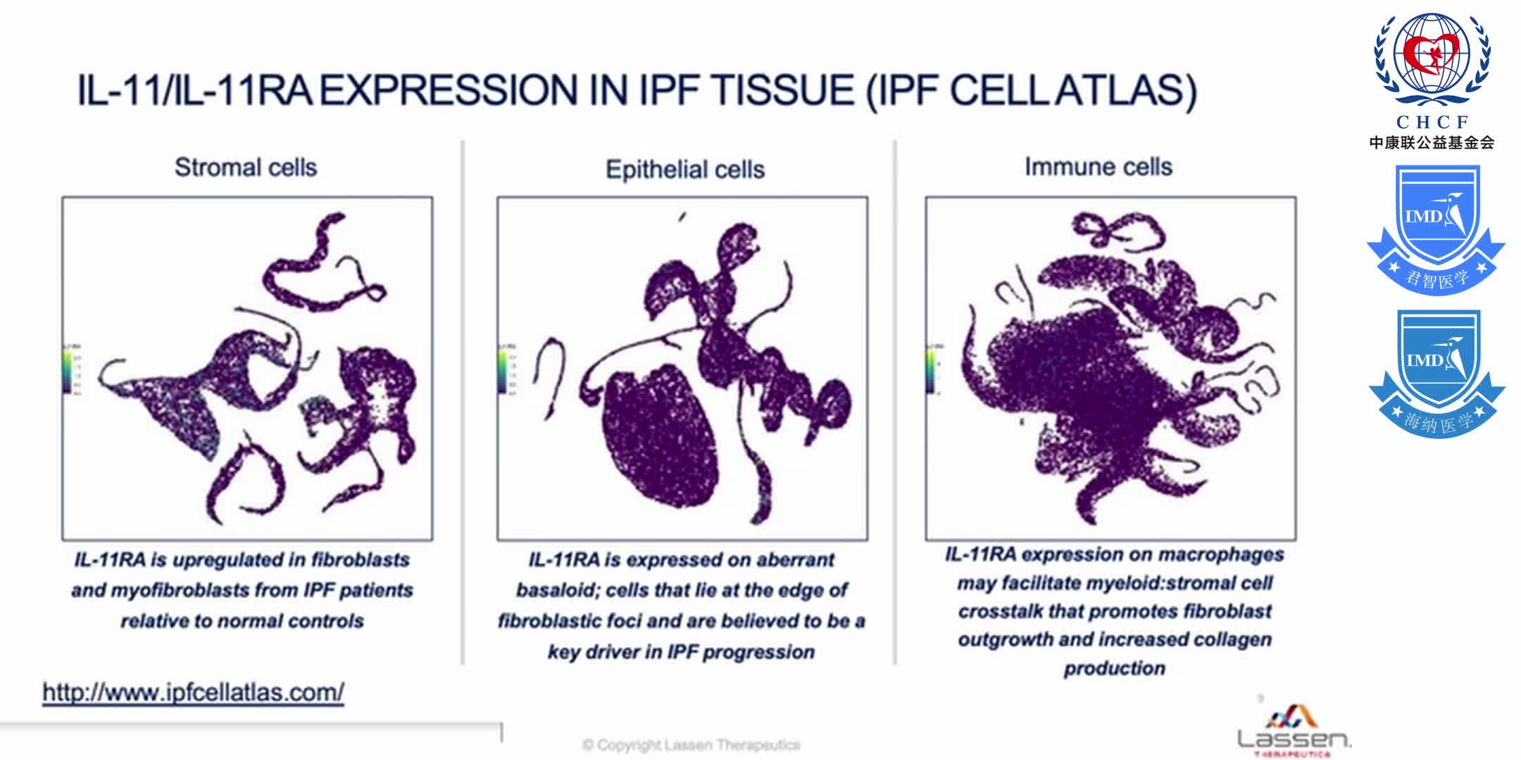 Antibody Mediated Blockade of Interleukin-11 Signaling for IPF & Other Fibrotic Diseases 1-2