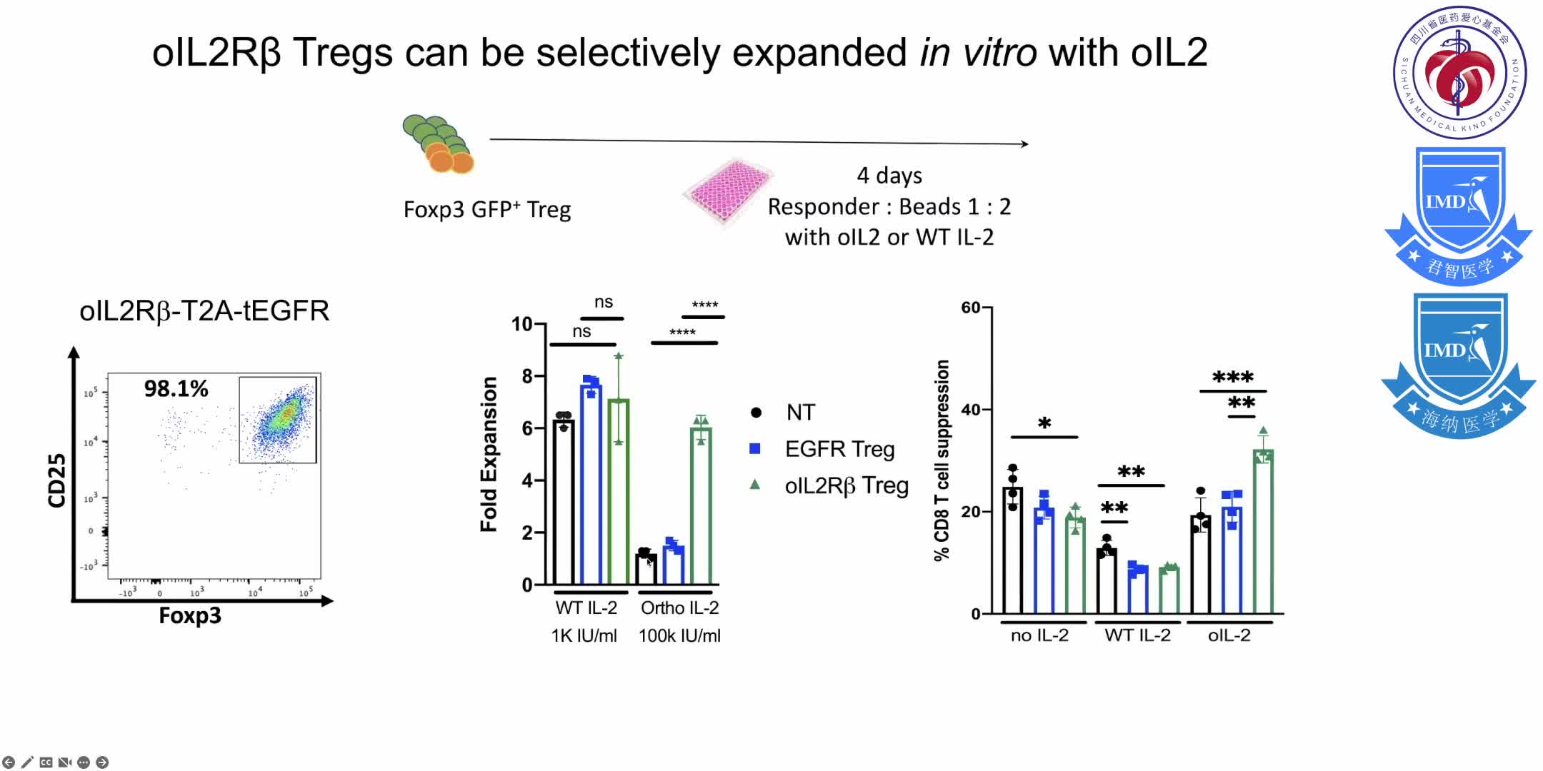 discusses the biological properties of regulatory T cells (Tregs) that are well suited for regaining immune homeostasis 12