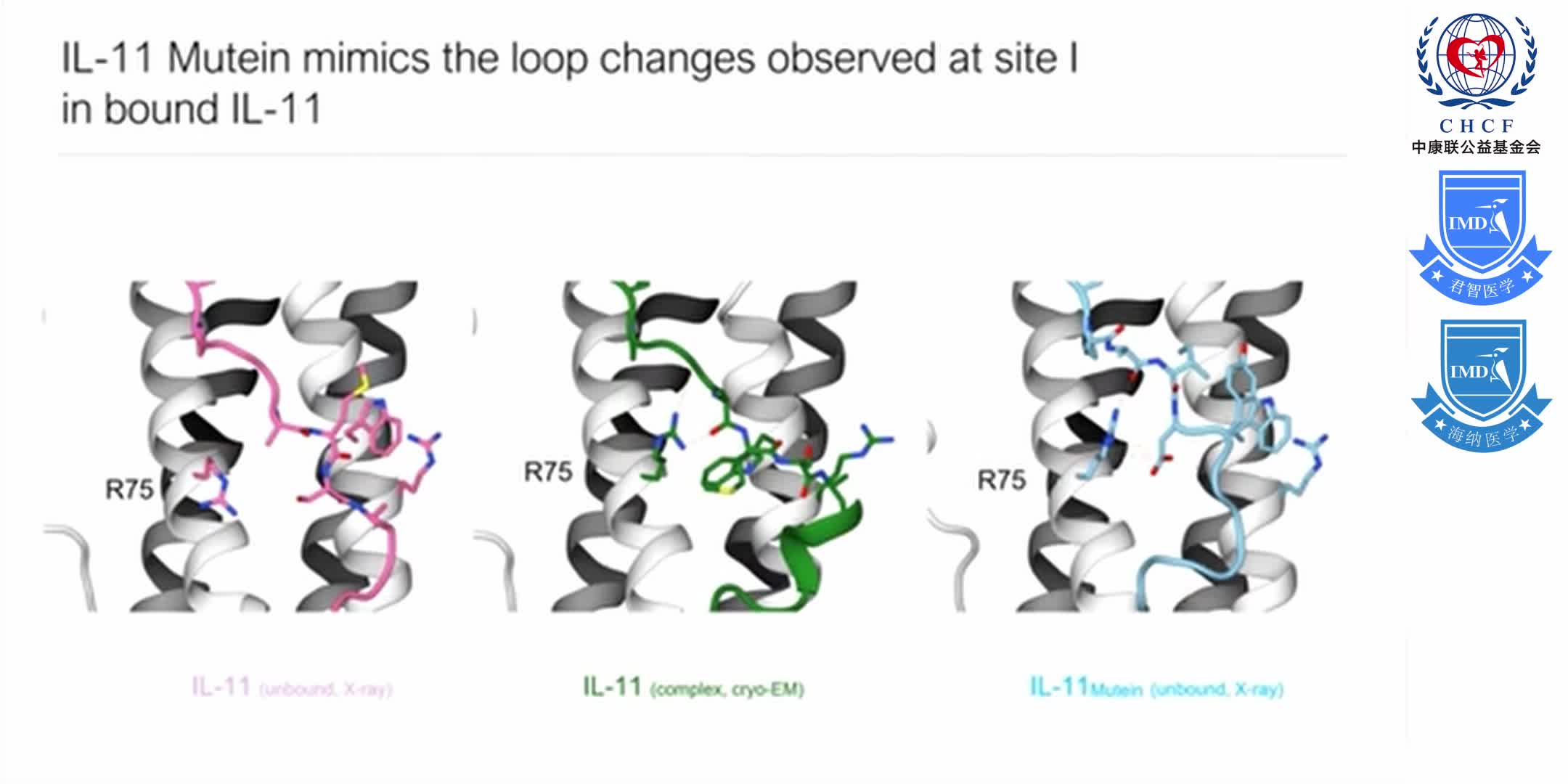 Structures of the interleukin 11 signalling complex 1-14