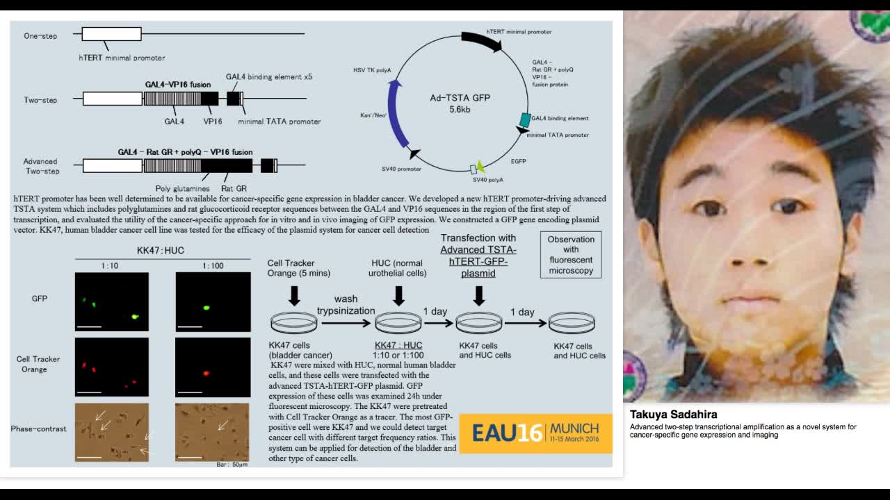 Advanced two-step transcriptional amplification as a nove-