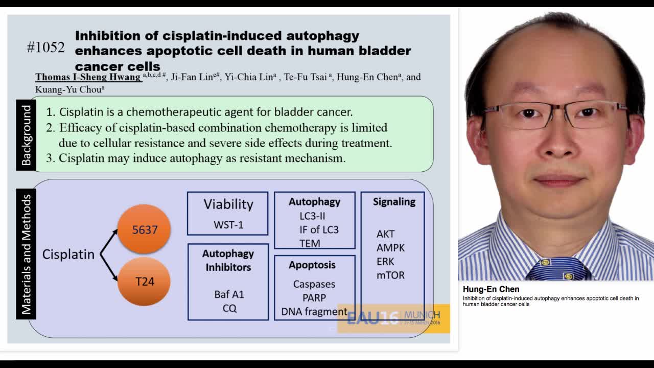Inhibition of cisplatin-induced autophagy enhances apopto-