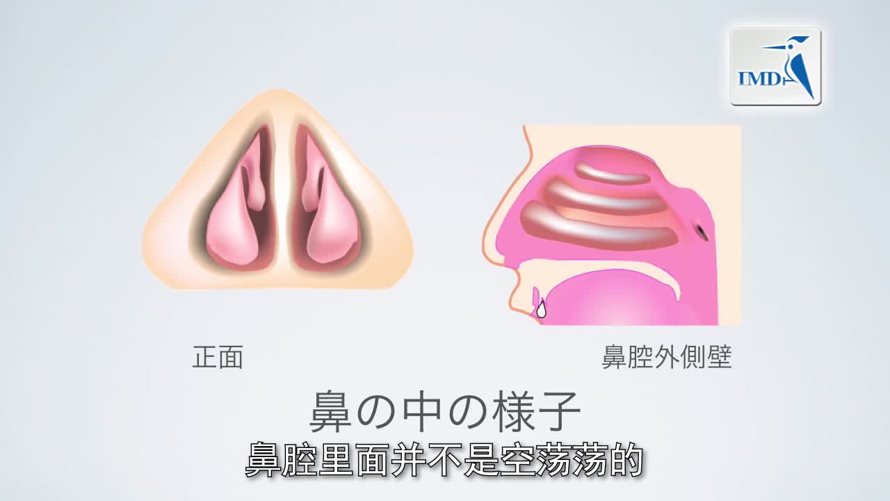 为什么会有鼻塞现象？（1）