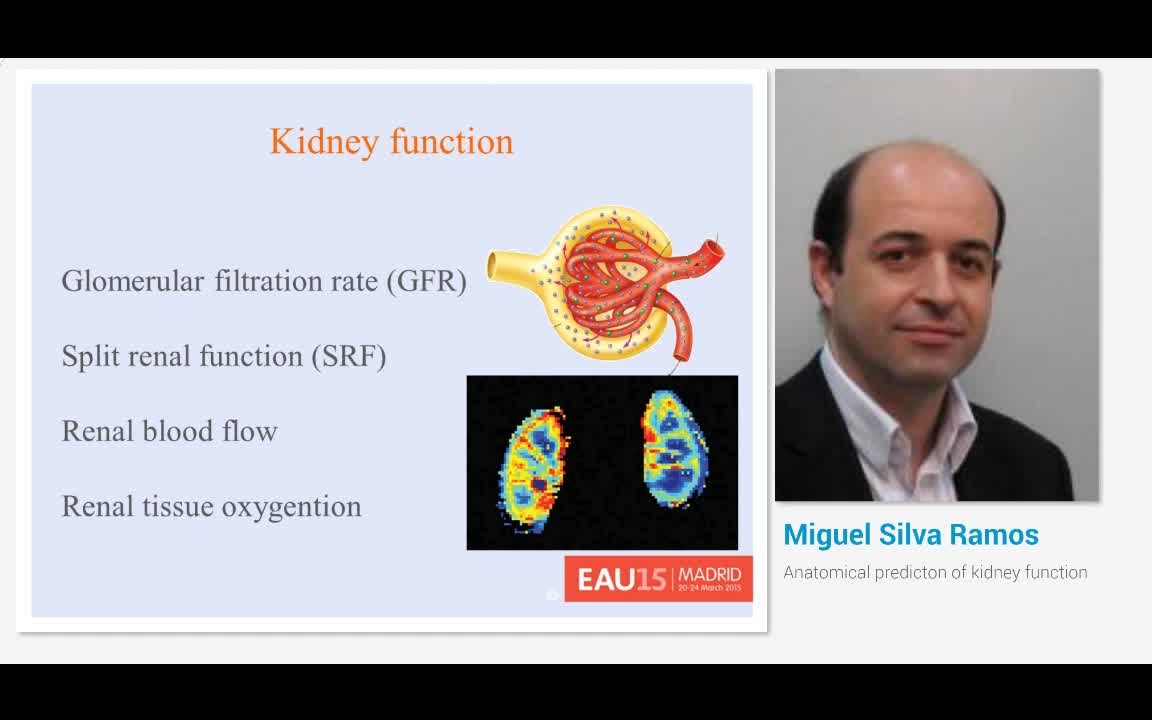 Anatomical predicton of kidney function