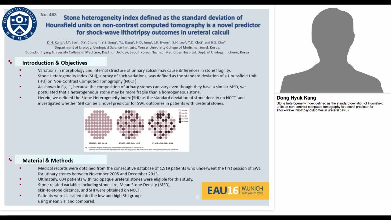 Stone heterogeneity index defined as the standard deviati-