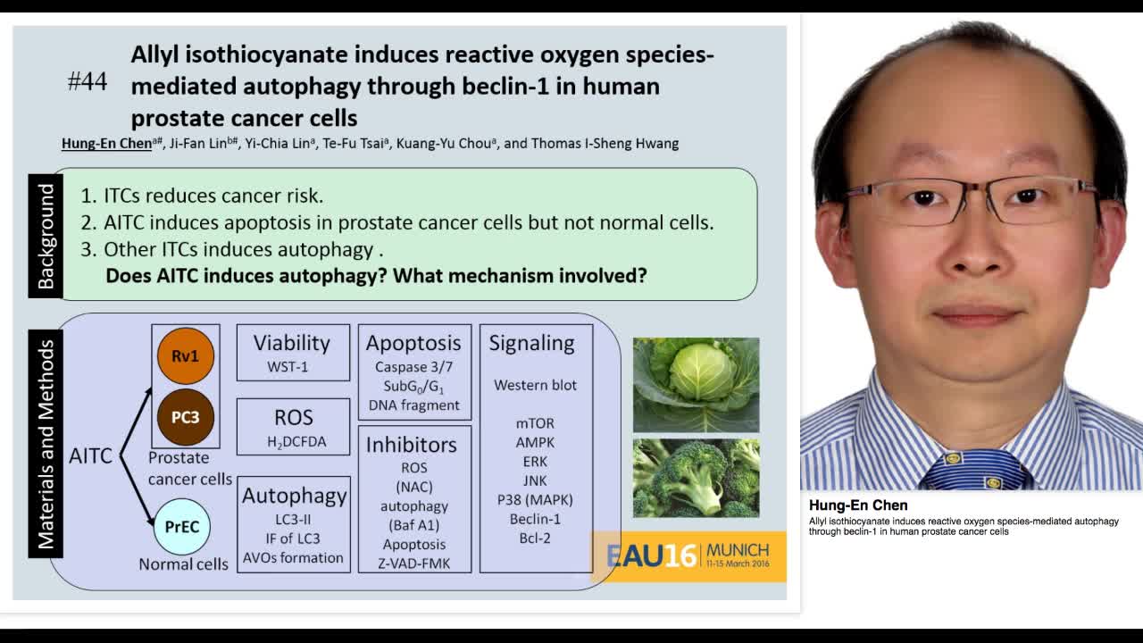 Allyl isothiocyanate induces reactive oxygen species-medi-