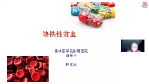 林文远-缺铁性贫血