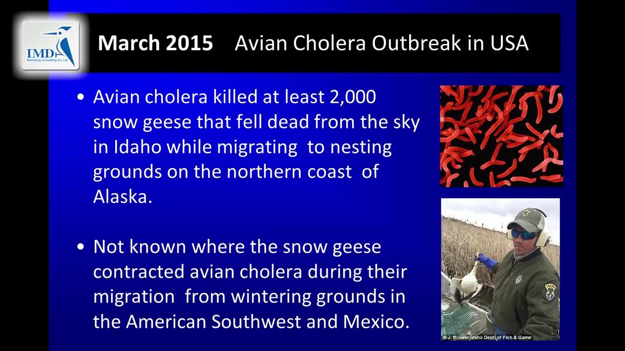 新兴传染病（9）