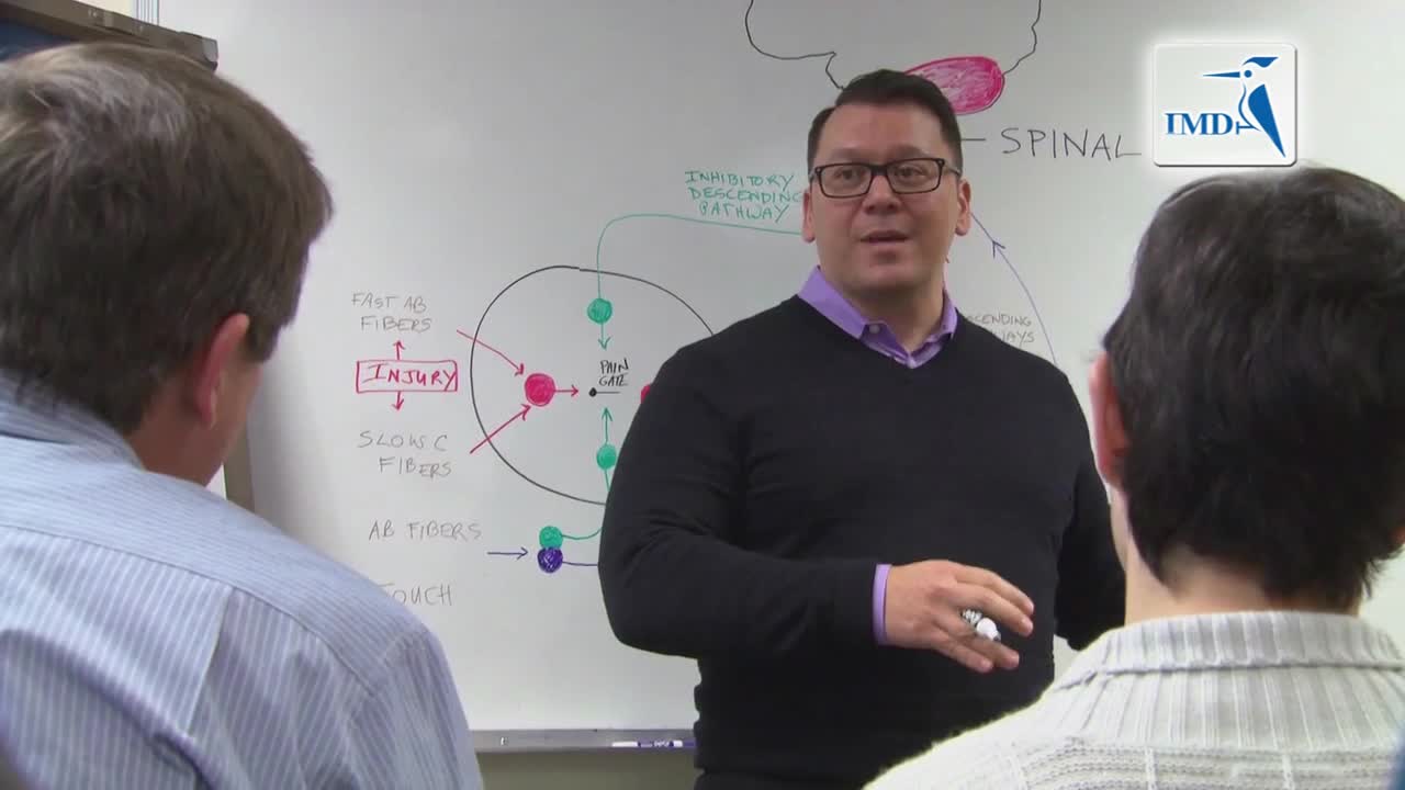 心身疗法治疗慢性下腰痛的效果显著