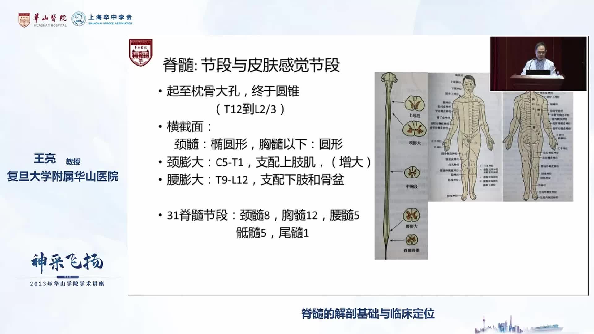 王亮-脊髓的解剖基础与临床定位