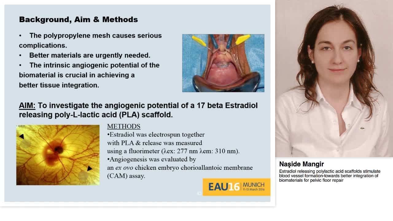 Estradiol releasing polylactic acid scaffolds stimulate b-