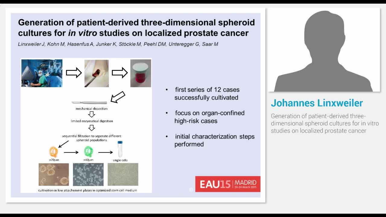 Generation of patient-derived three-dimensional spheroid ..-