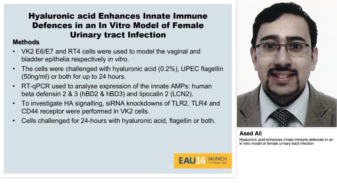 Hyaluronic acid enhances innate immune defences in an in -