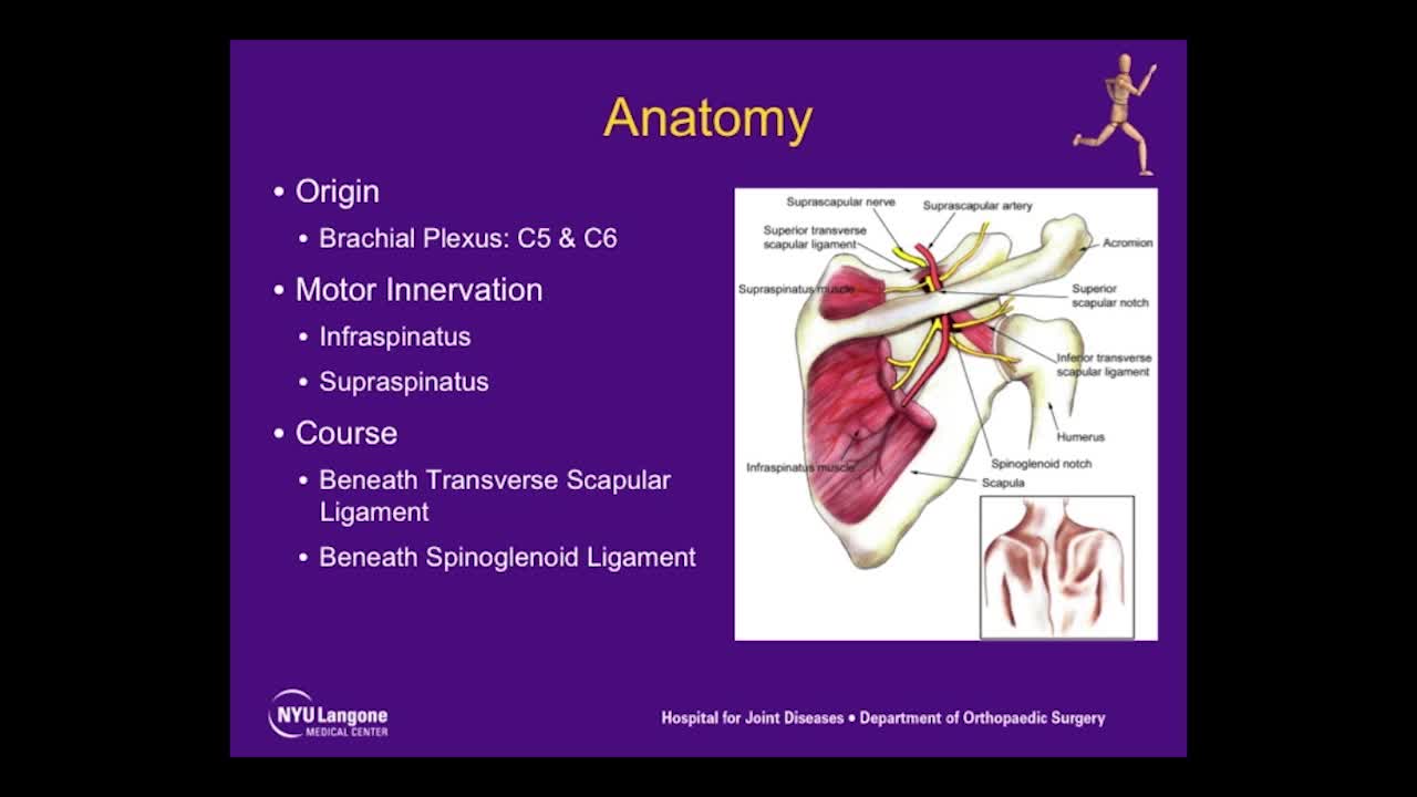 Arthroscopic Suprascapular Nerve Release